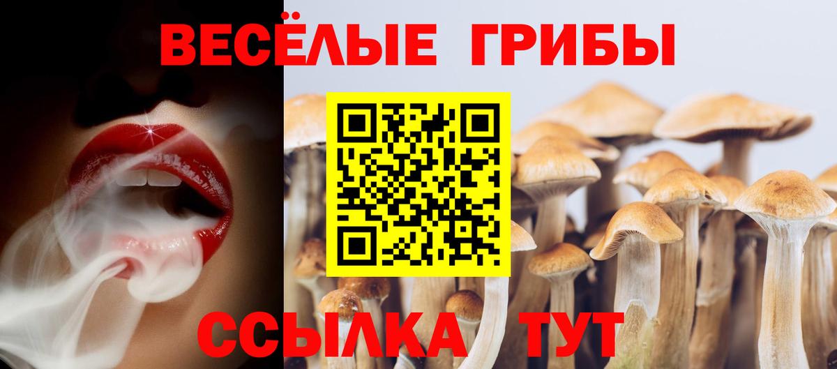 Минусинск  Галлюциногенные грибы Psilocybine cubensis  Вход с VPN  Псилоцибиновые грибы мицелий 